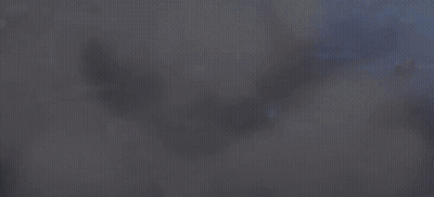 Group Of People Around Blue Pokémon R GIF