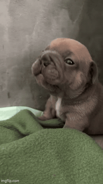 Group Of People Holding Hands In Room GIF