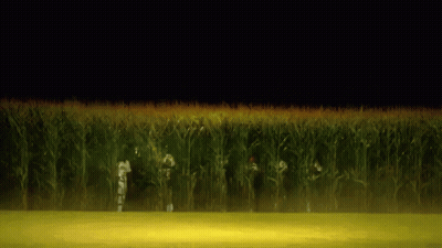 Group Of People In Corn Field At Night GIF