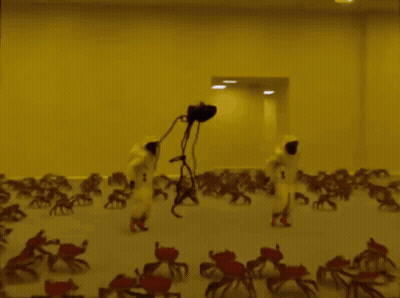 Group Of People In Front Of Yellow Wall GIF