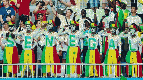 Group Of People In Stadium Holding Signs Saying Senegal GIF