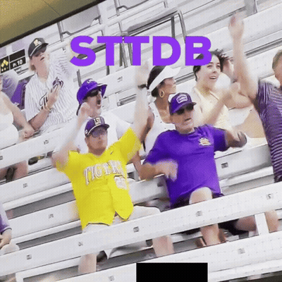 Group Of People In Stadium With STTDB GIF