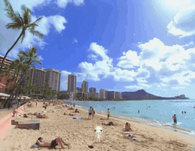 Group Of People Laying On Beach With Palm Trees GIF