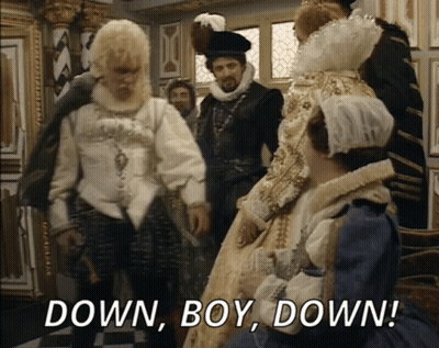Group Of People Saying Down Boy Down GIF