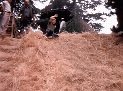 Group of People Standing Around Hay Pile