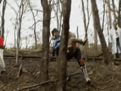 Group Of People Standing In Forest GIF