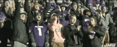 Group Of People With Hands In The Air In Stadium GIF