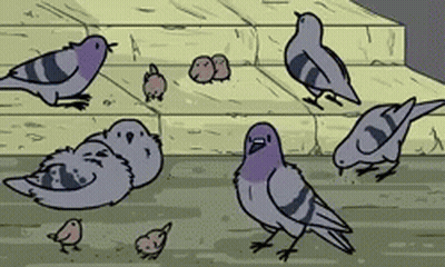 Group Of Pigeons On Steps GIF