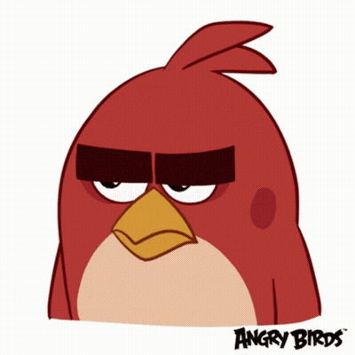 Group Of Pigeons Walking On Ground GIF
