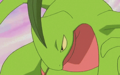 Group Of Pokemon Fighting GIF