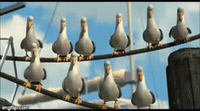 Group Of Seagulls Standing On A Wire GIF