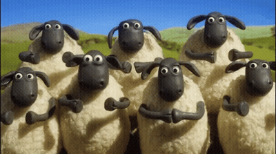 Group Of Sheep Standing In Field With Arms Around Each Other GIF