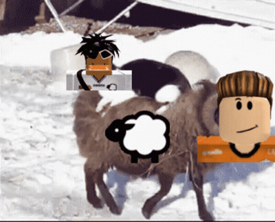 Group Of Sheep Standing In Snow With Man In White Shirt GIF