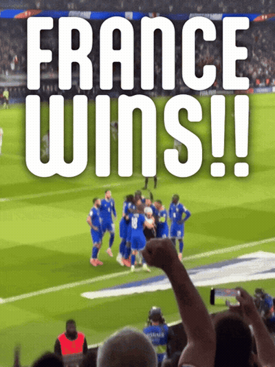 Group Of Soccer Players Celebrating France Wins GIF