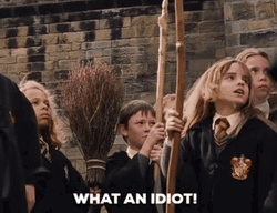 Group Of Student What An Idiot  GIF
