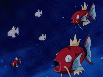 Group Of White Fish Swimming In Dark Blue Water GIF