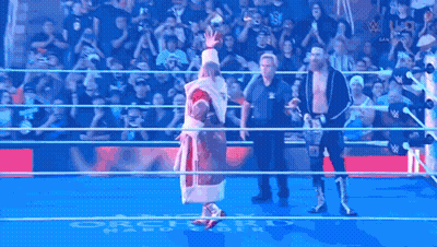 Group Of Wrestlers In Wrestling Ring GIF
