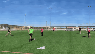 Group Playing Soccer On Green Field GIF