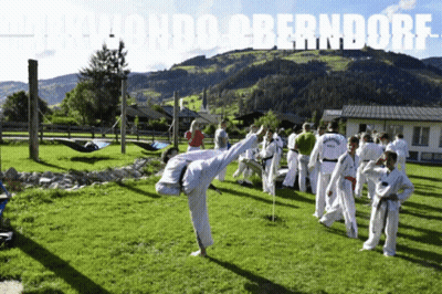Group Practicing Taekwondo Oberndorf GIF
