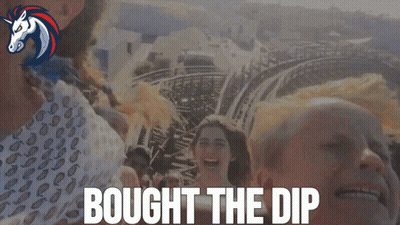Group Riding Roller Coaster Bought The Dip GIF