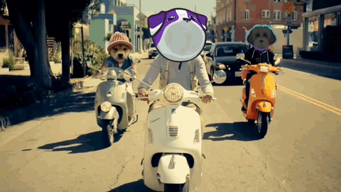 Group Riding Scooters With Dog on Head