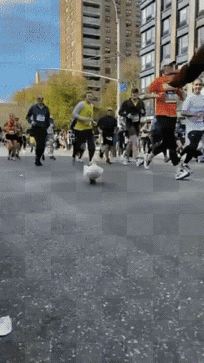 Group Running Marathon With Yellow Shirt GIF