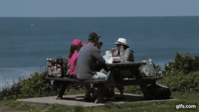 Group Sitting At Picnic Table Near Ocean GIF