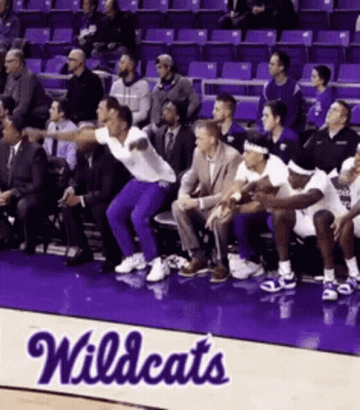 Group Sitting In Stadium With Wildcats On Floor GIF