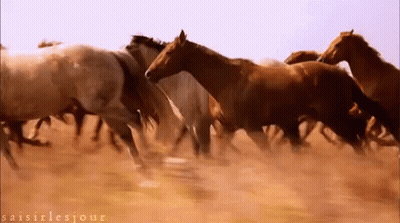 Group Sitting It's A Transformer GIF