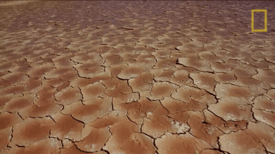 Group Standing In Blue Light GIF