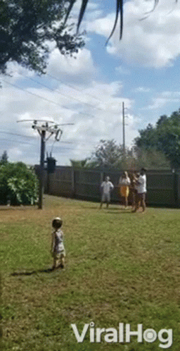 Group Standing In Field With Viralhog Text GIF