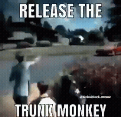 Group Standing In Front Of Car Saying Release The Trunk Monkey GIF