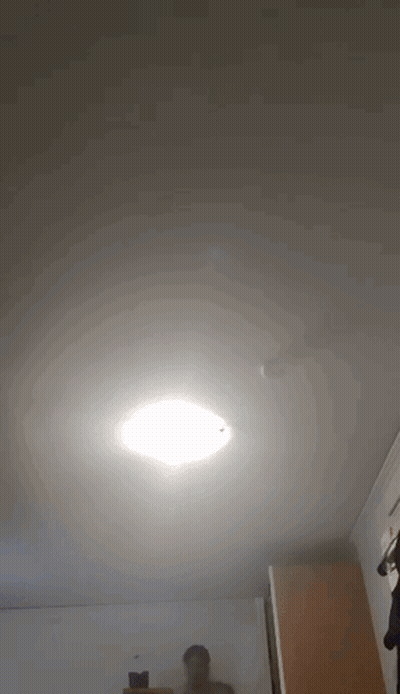 Group Standing In Front Of Green Vehicle GIF