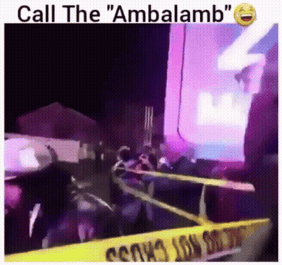 Group Standing In Front Of Yellow Caution Tape Saying Call The Ambalamb GIF