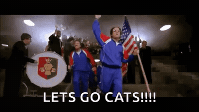 Group Walking Down Stairs Holding Flags And Drum Saying Let's Go Cats GIF