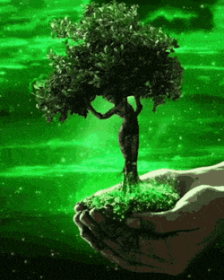 Grow GIF