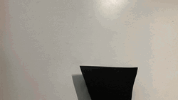 Growing Cactus Plant Artwork GIF