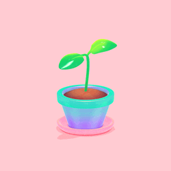 Growing Plant Sapling Light Wiggle GIF
