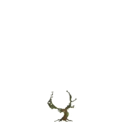 Growing Plant Save The World Wreath GIF