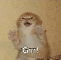 Grr Angry Kitten GIF