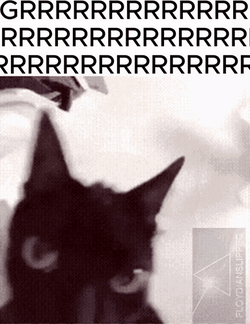 Grr Shaking Cat Head GIF