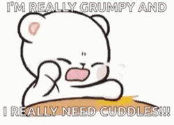 Grumpy And Crying Cat GIF