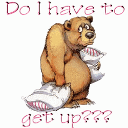 Grumpy Bear Good Morning Thursday Funny GIF
