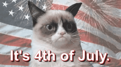 Grumpy Cat American Flag It's 4th of July