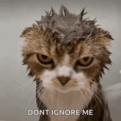 Grumpy Cat Angry Ignoring GIF