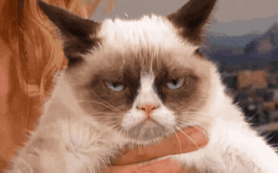 Grumpy Cat Being Held GIF