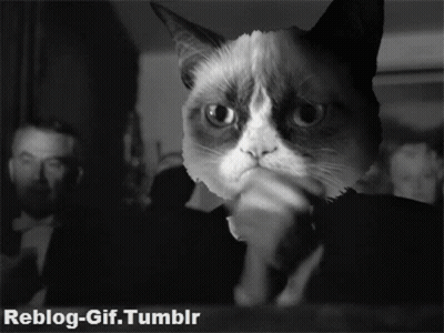 Grumpy Cat Black And White Photo Reblog-Gif.Tumblr GIF