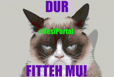 Grumpy Cat Dur Fitteh Mu GIF