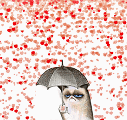 Grumpy Cat Heart Tunnel Showering GIF