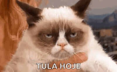 Grumpy Cat Held By Woman Tula Hoje GIF